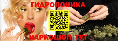 гидра Моздок